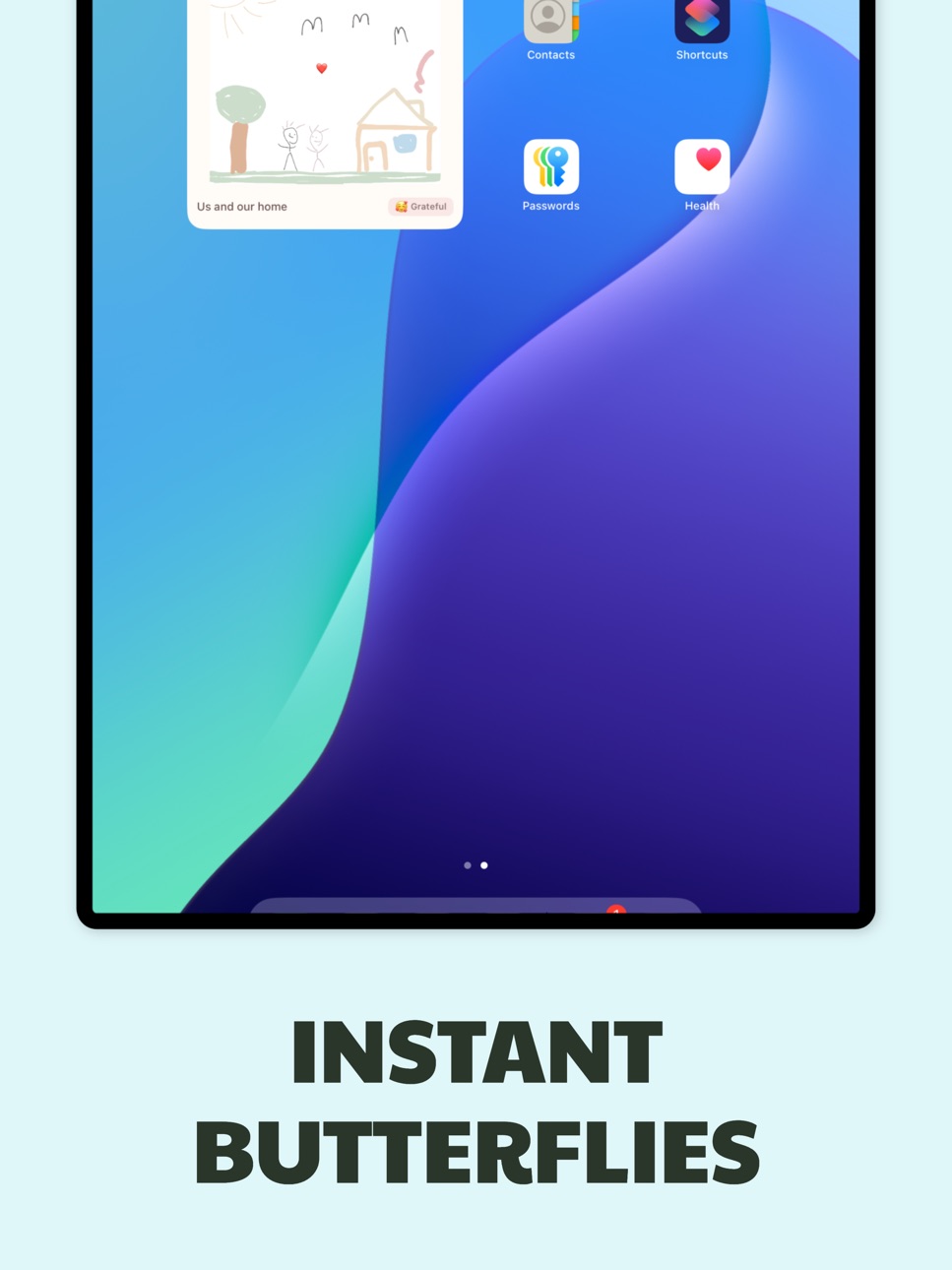 iPad screenshot