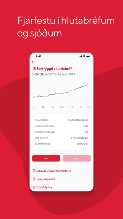 Íslandsbanki screenshot-3
