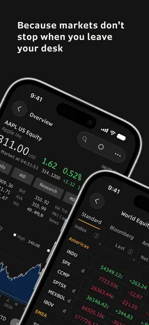Bloomberg Professional screenshot 2