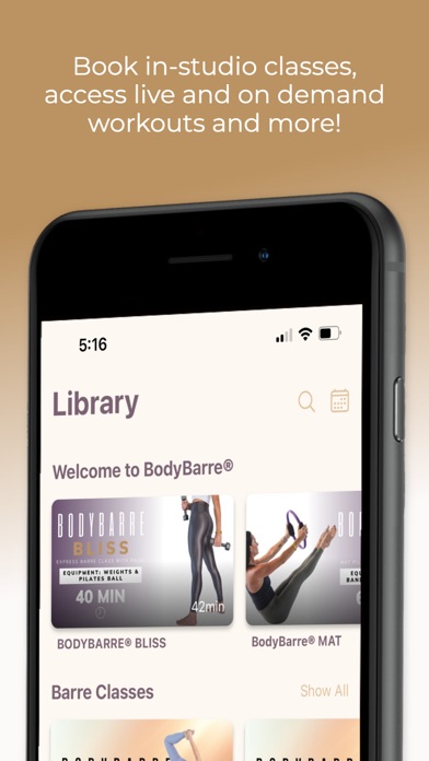 BodyBarre. Screenshot