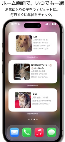 宠物几岁了? screenshot