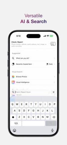 ScamNet: Anti-Scam Suite screenshot