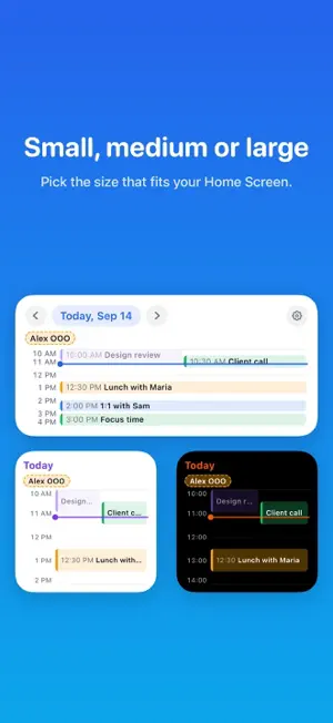 Daily Calendar Widget screenshot 3