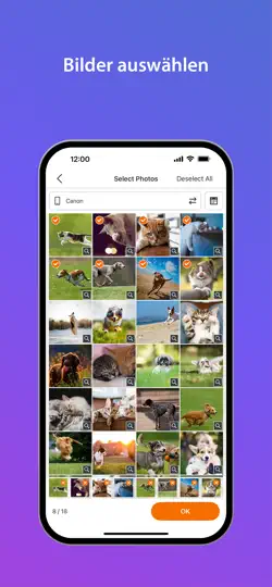 Screenshot von SELPHY Photo Layout auf dem iPhone 3