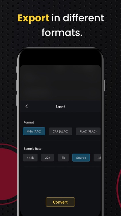 AudiOn: Voice Recorder & Memos screenshot-8