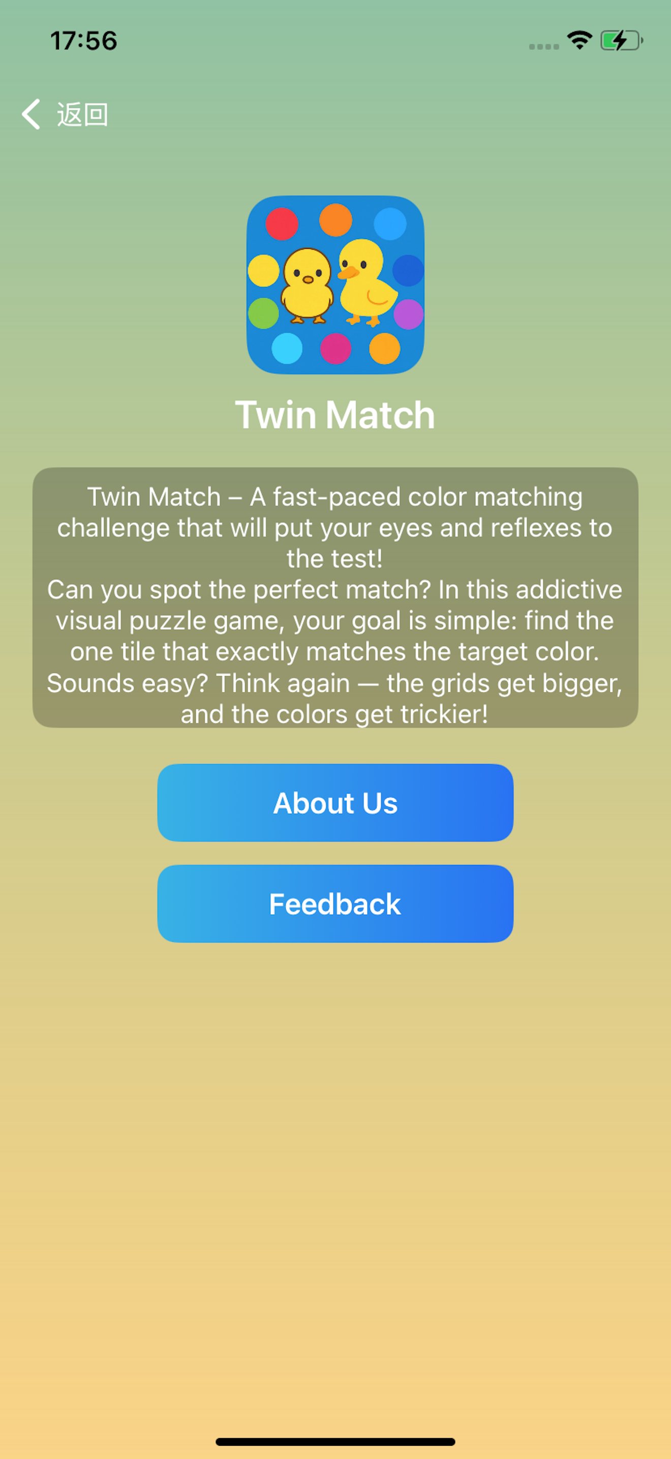 Twin Match screenshot 5