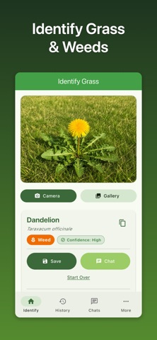 Grass Identifier: Grass Ace iPhone screenshot