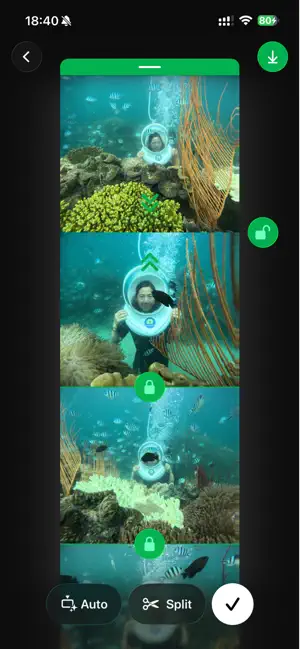 LongStitch - Long Screenshot screenshot 2