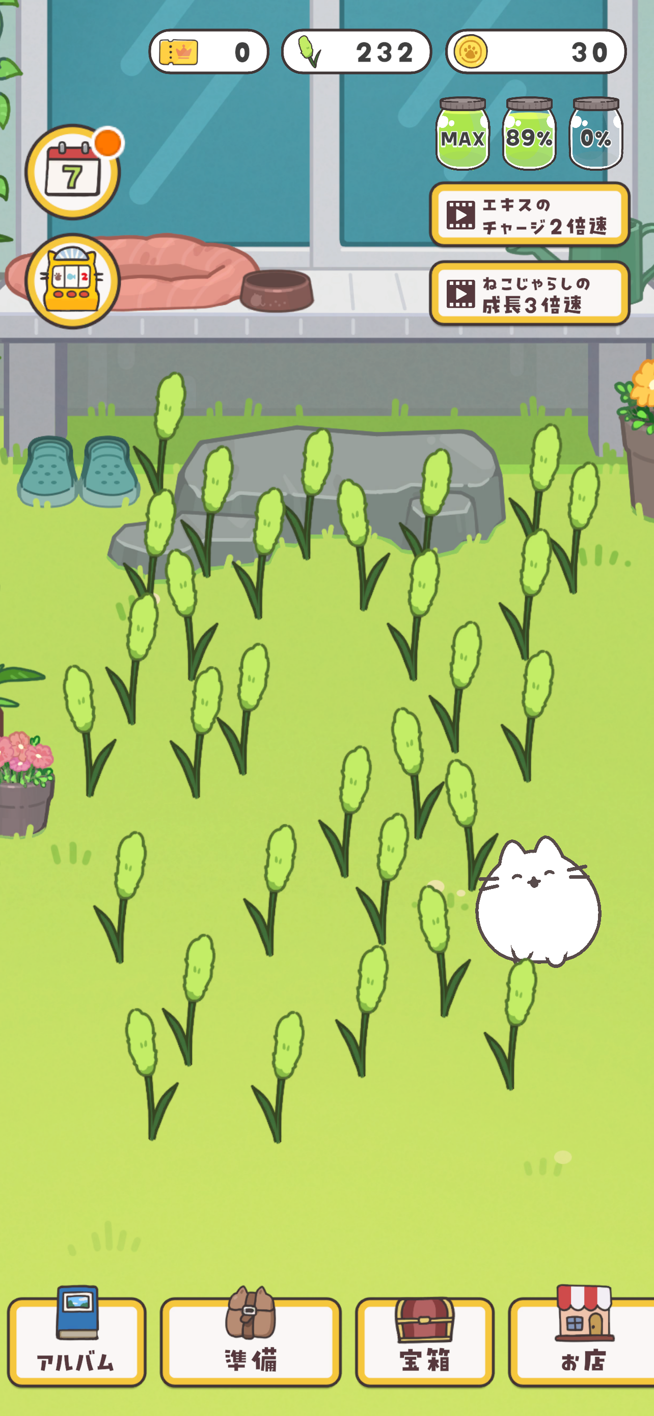 ねこ旅