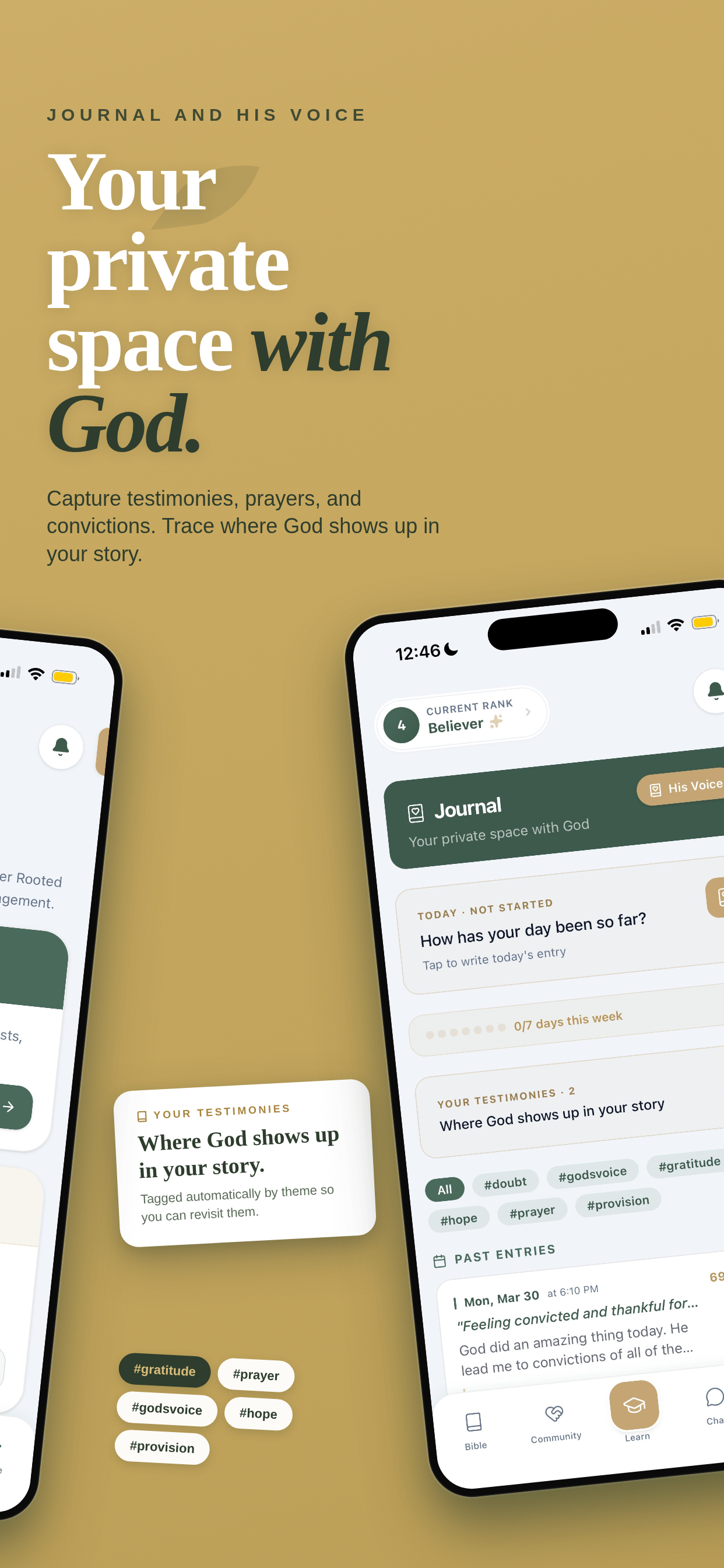 Rooted - Adaptive Bible Study