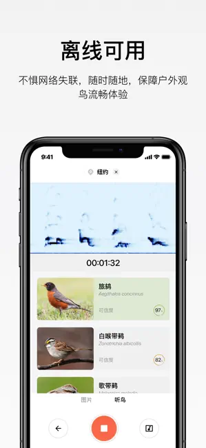懂鸟 iPhone screenshot 4