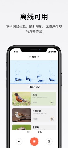 懂鸟 screenshot