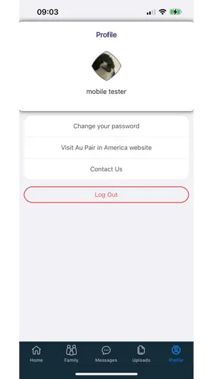 Au Pair in America screenshot 4
