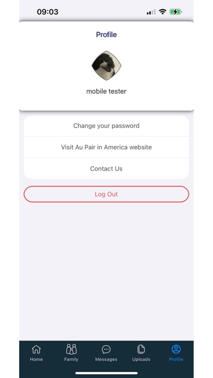 Au Pair in America screenshot-3