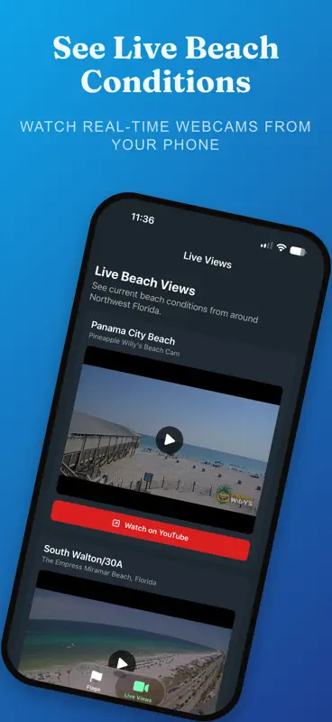 NW Florida Beach Flags screenshot 2 of 4