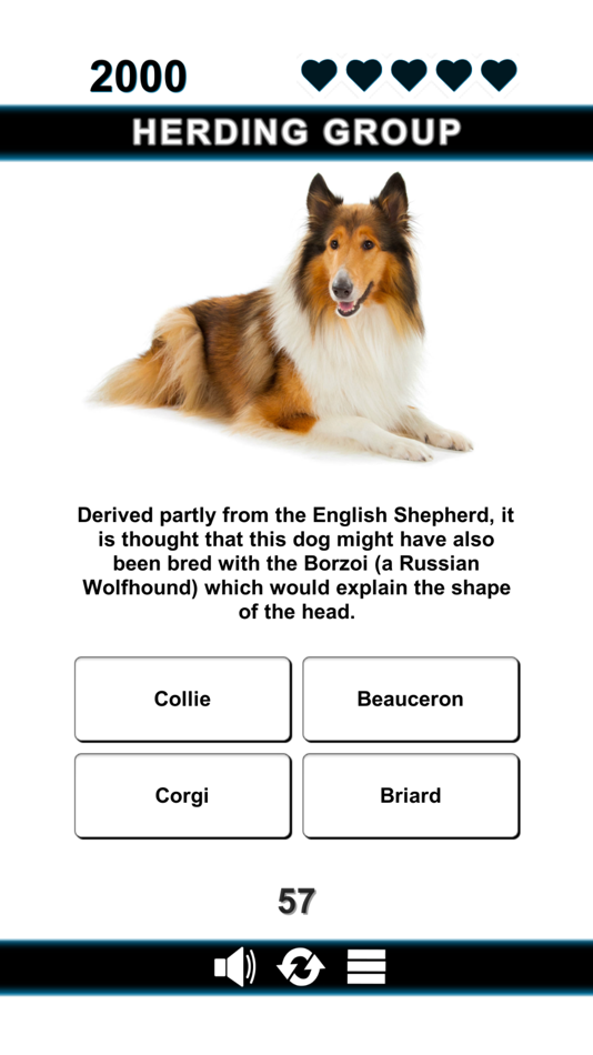 #5. Good Dog (iOS) 由: Darren McNally