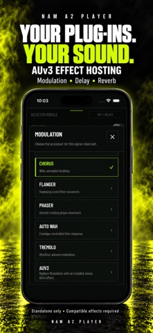 NAM A2 Player Screenshot 3 of 5