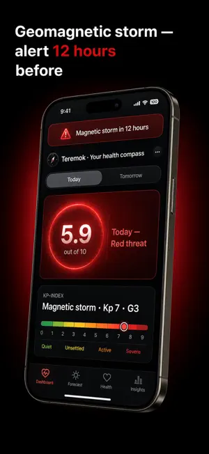 Teremok screenshot 4