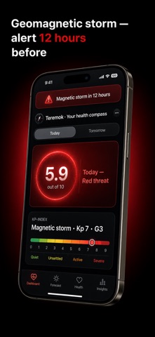 Teremok screenshot