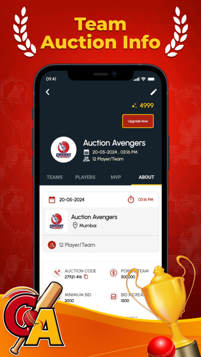 CricAuction - Cricket Auction Screenshot