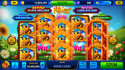 Screenshot #2 pour Golden City Casino