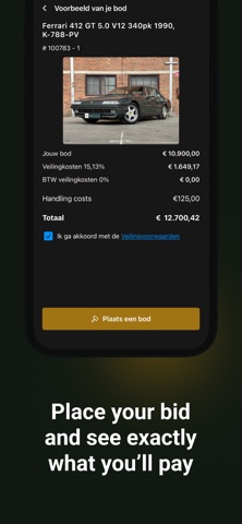 Bright Auctions screenshot