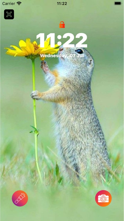 Cute Paper / Animals 4K HD ! screenshot-4