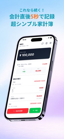 MK5 支出管理・家計簿 screenshot