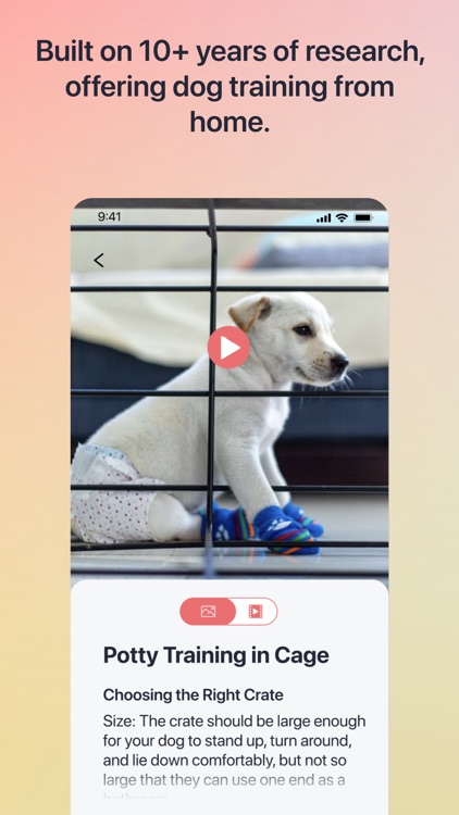 Traini-Dog Translator&Training screenshot-5