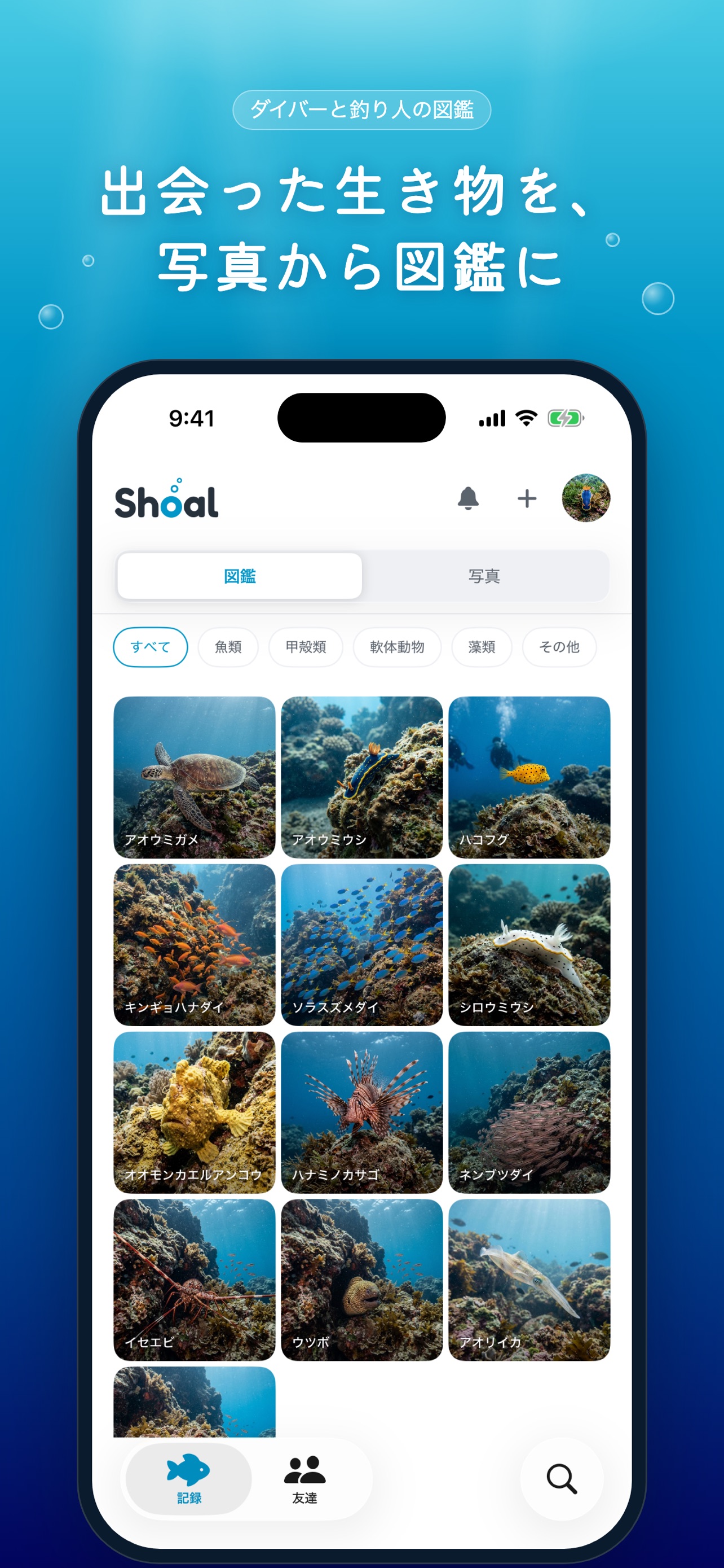 Screenshot 1 of Shoal