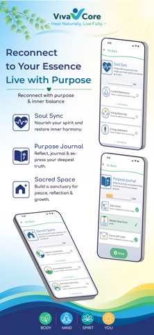 VivaCore screenshot