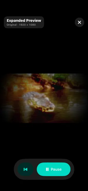 VHS FX Studio screenshot 1