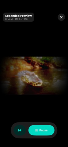 VHS FX Studio Screenshot 1 of 5