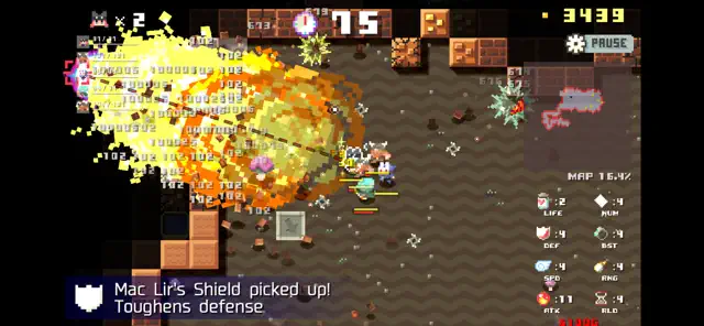 DUNGEON RAZE screenshot 3