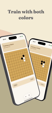 Wandering Joseki Screenshot 7 of 8