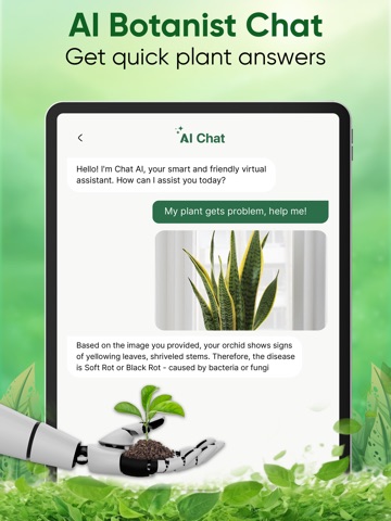 Plant Identifier - Care & Tips