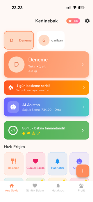 Kedinebak Screenshot 2 of 9