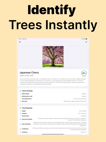Tree Identifier - Treefy