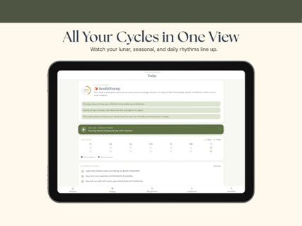Cycles of Nature screenshot 9