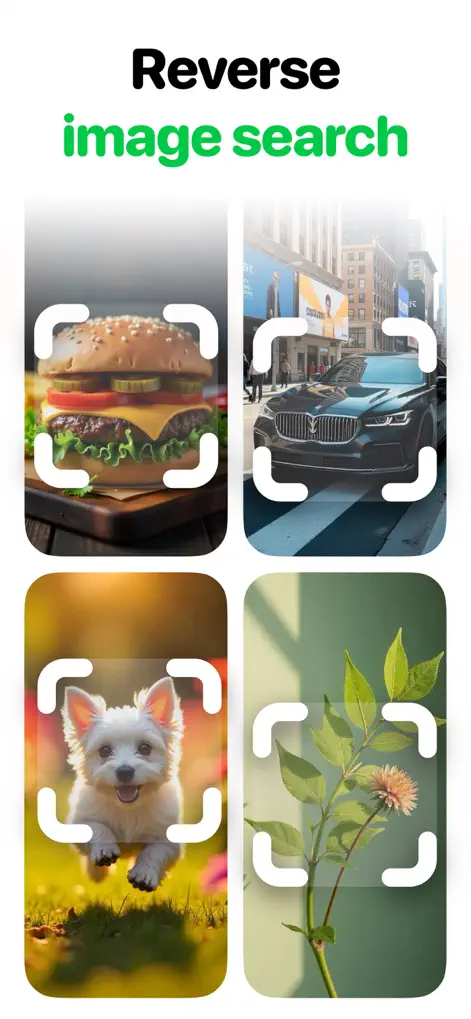 Search By Image: Lens Identify - Utilities App | MWM