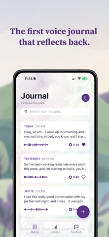 Voice Journal: ThinkAloud screenshot