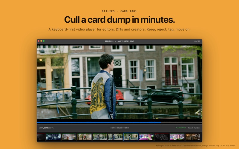 BegiCull: Fast Video Culling screenshot 1
