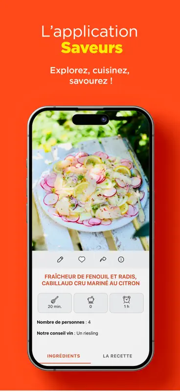 Saveurs : Recettes de cuisine screenshot 9 of 9
