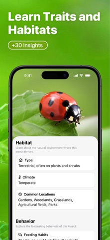 Insect Bug Identifier : Buzzy screenshot