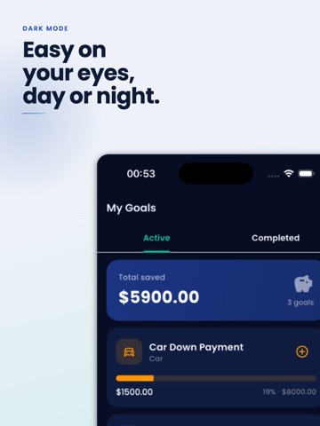 Money Saving Tracker iPad screenshot
