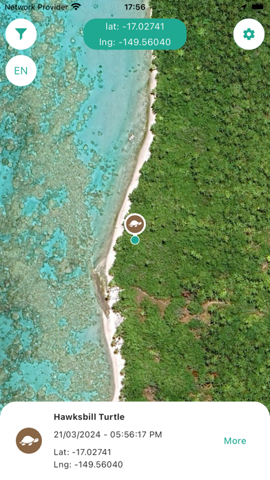 We Spot Turtles! Screenshot