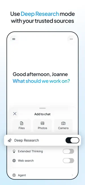 Snowflake CoWork screenshot 2