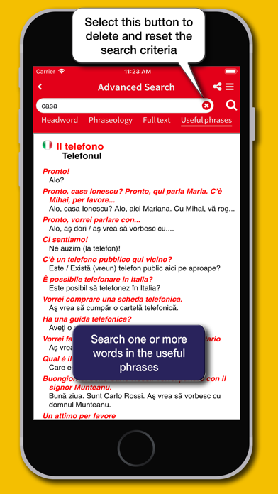 Romanian Dictionary Hoepli Screenshot
