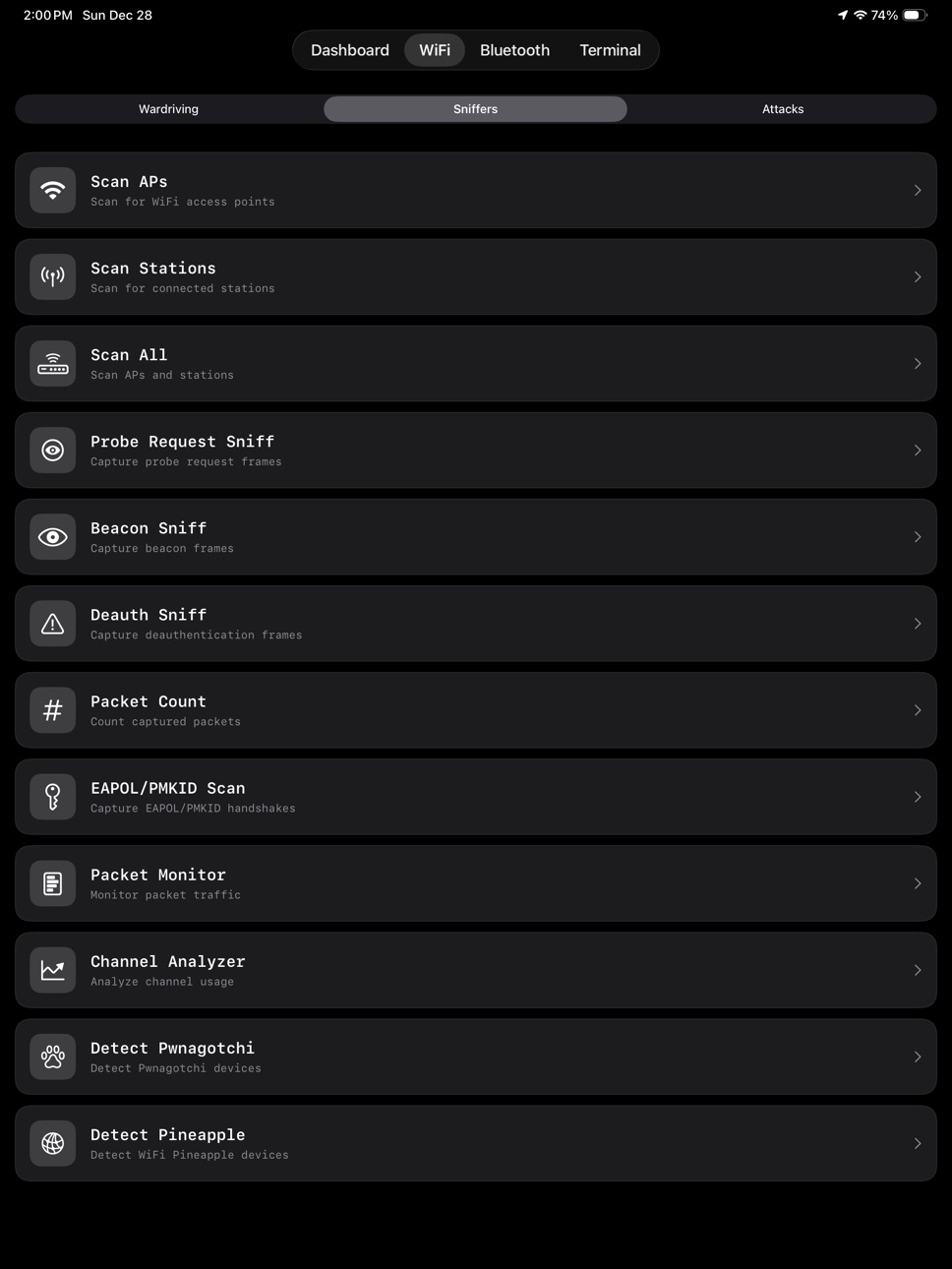 iPad screenshot