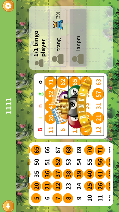 Bingo-Roulette Screenshot